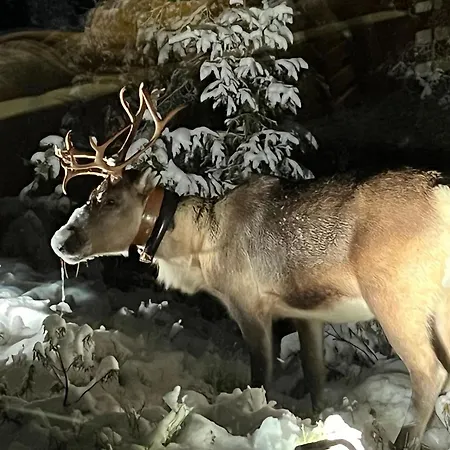 Lumimarja By Interhome Dom wakacyjny Ruka